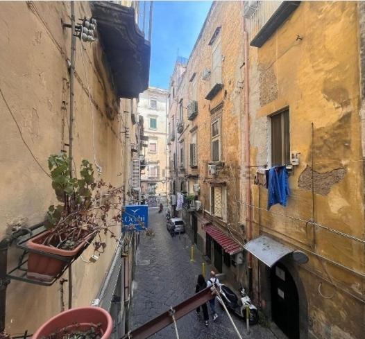 Carmelita Naples